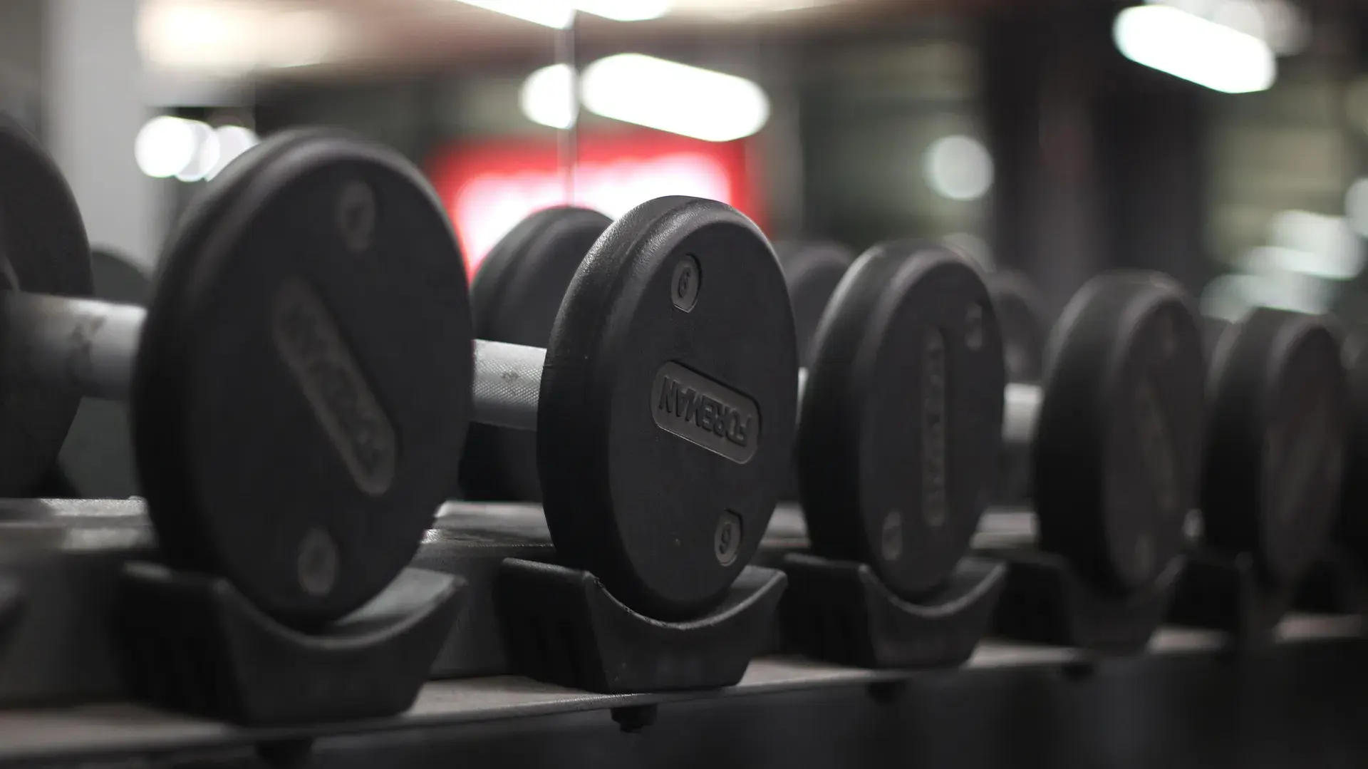 Person lifting weights in a gym