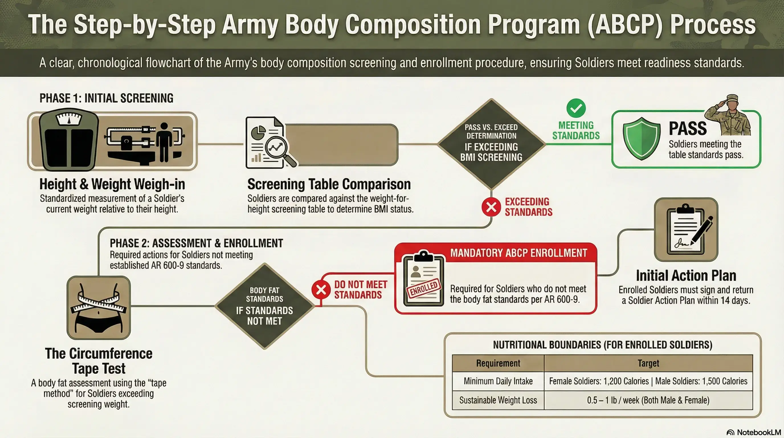 Army body composition infographic