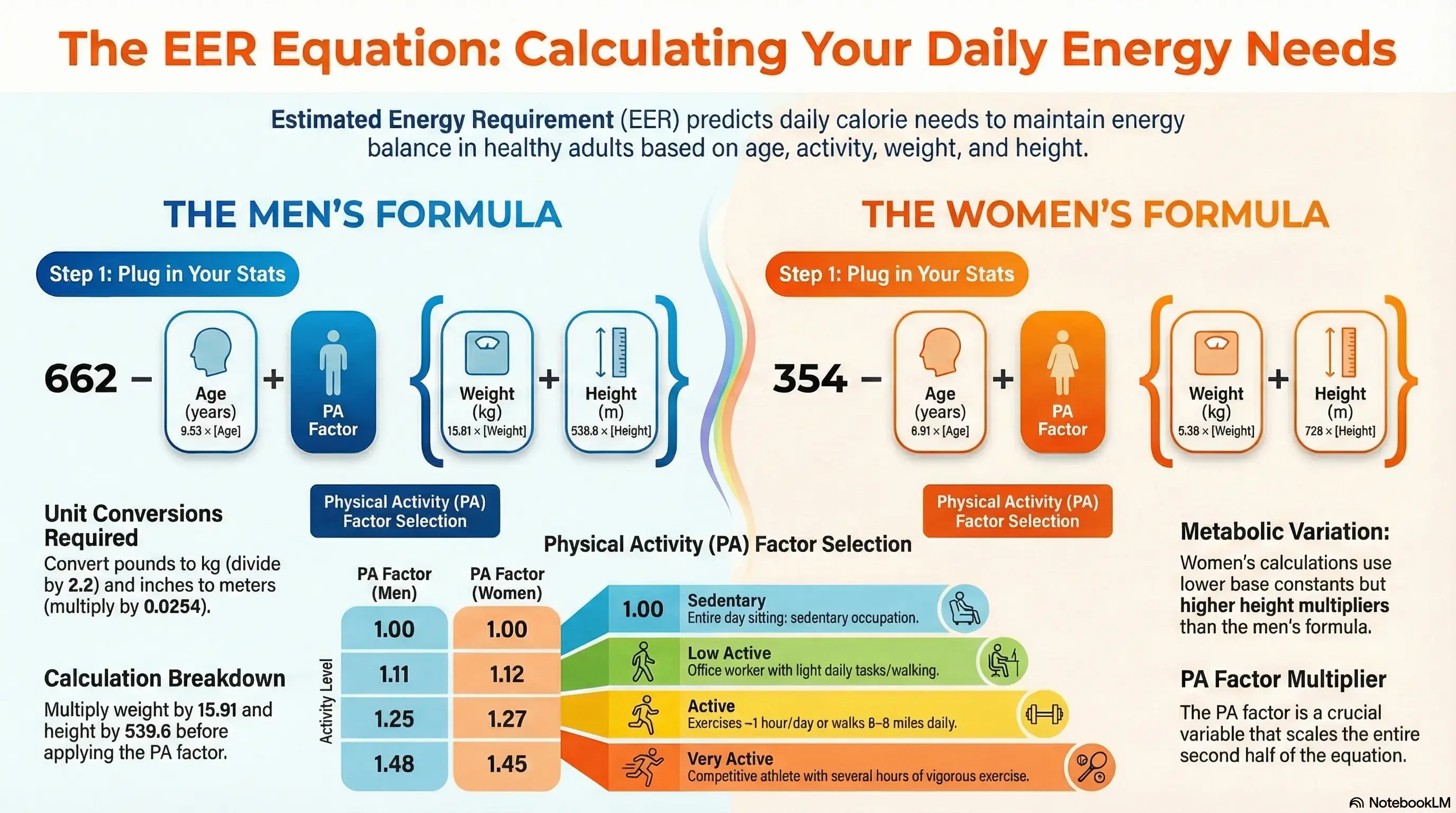 Calculate daily energy expenditure infographic